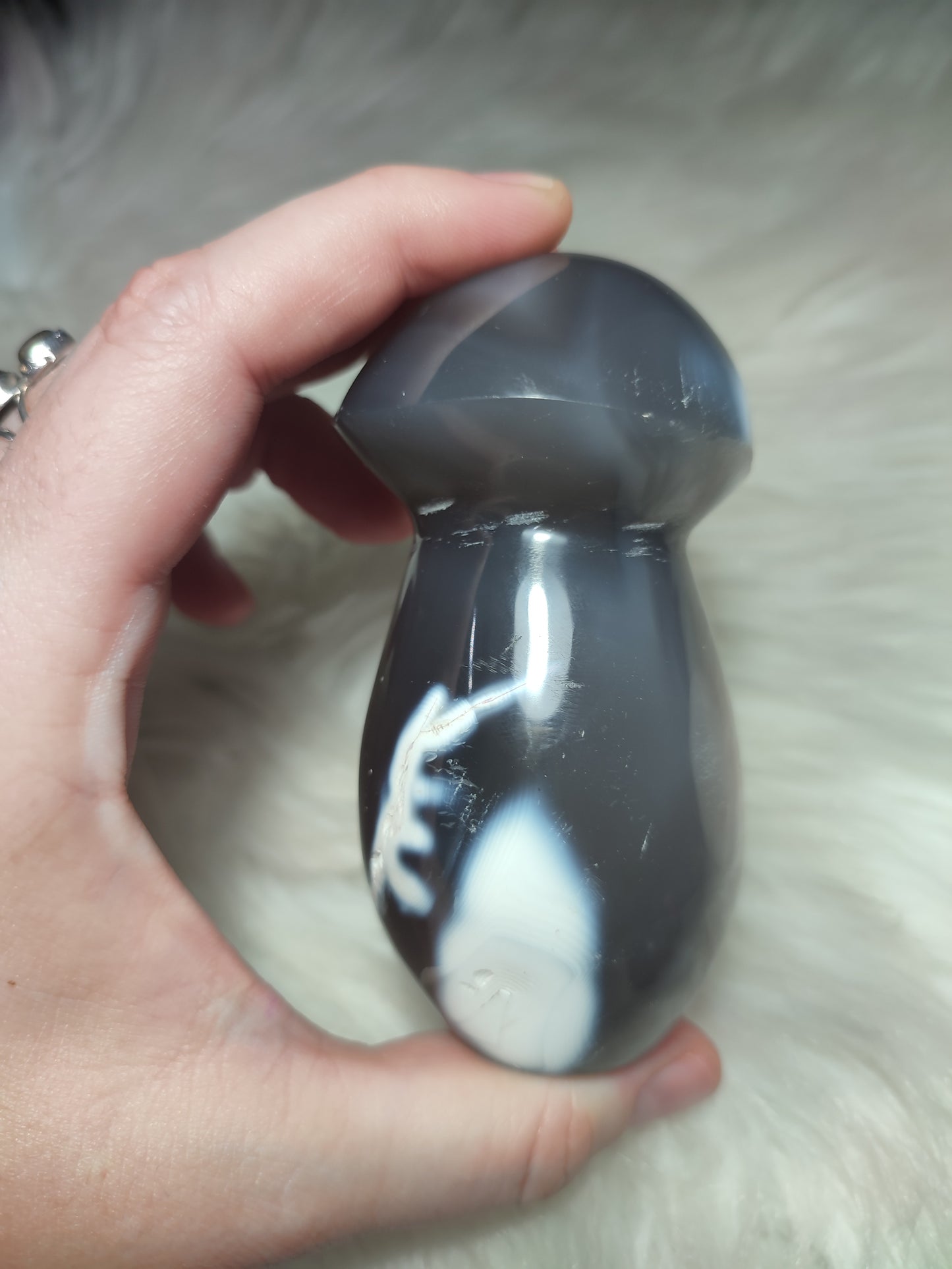 Seta ágata orca n°120