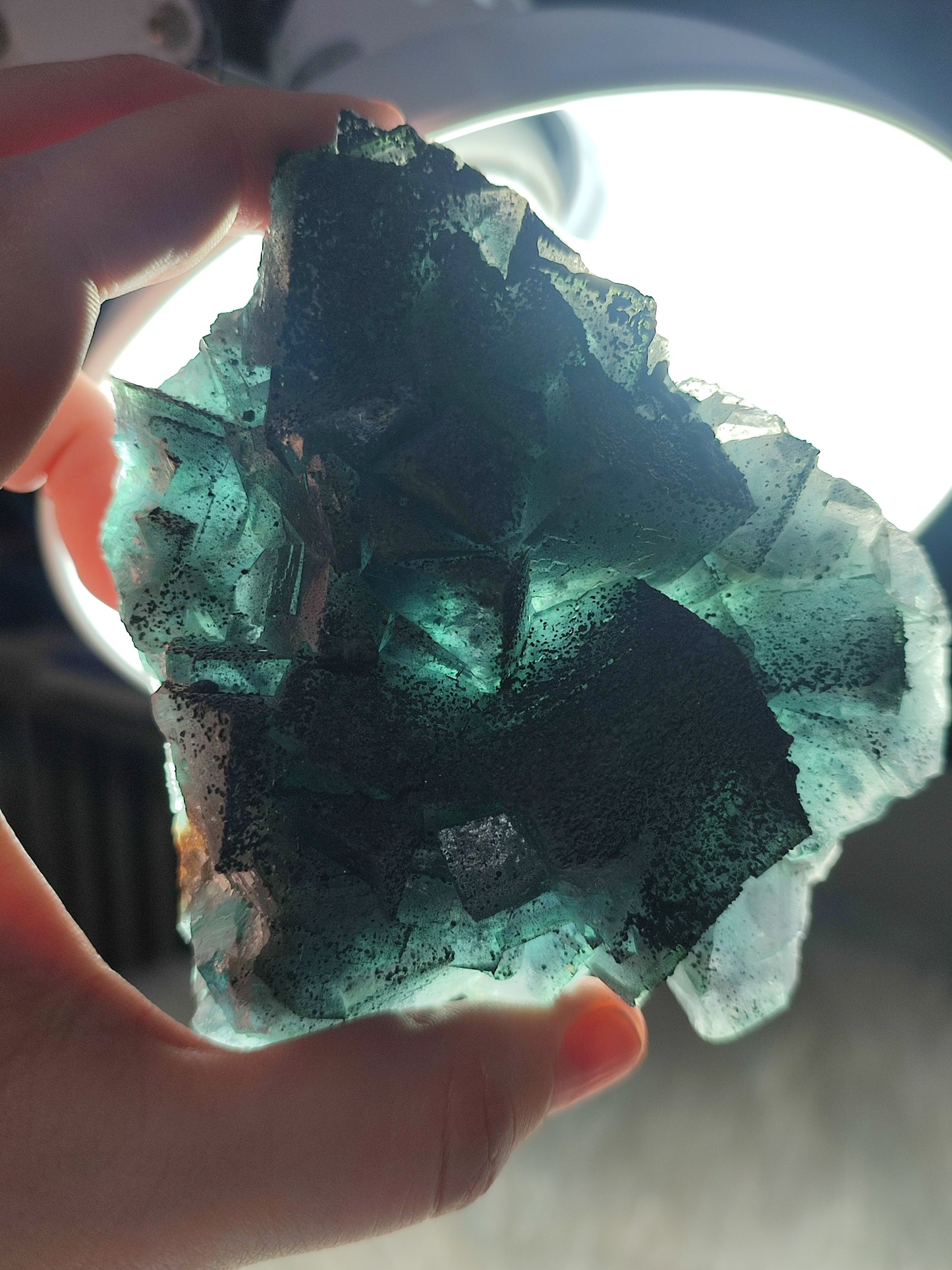 Flúorita cúbica con galena 490 gramos - ver video